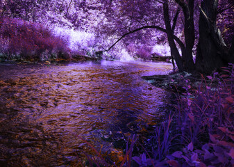 Fantasy purple forest and river