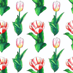 Seamless watercolor pattern with pink tulip flowers and green leaves. Hand drawn botanical flowers.