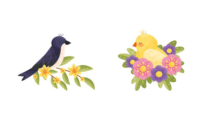 Perching Bird Sitting on Floral Twig and Nest with Blossoming Flowers Vector Set