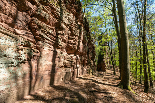 Fladensteine, Pf&auml;lzerwald