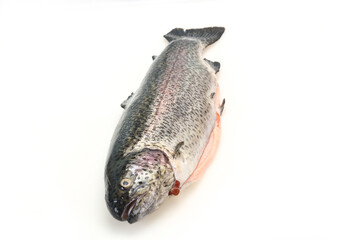 Raw trout fish isolated on white
