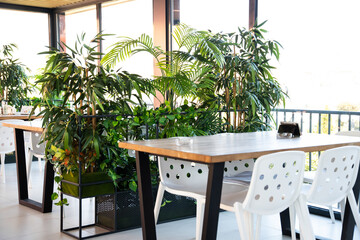 Fototapeta na wymiar Restaurant in a modern style with green plants. Ecology design.