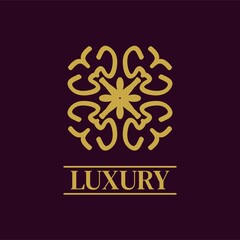 Mandala Geometric ornament logo Elegant premium icon vector design