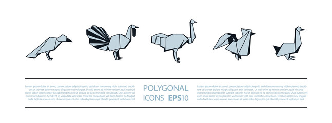 Polygonal Birds Linear Icons Set. Low poly poultry bird icon for banner such as crow, turkey, ostrich, rooster and goose.