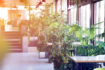 Restaurant in a modern style with green plants. Ecology design.
