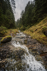 Mountain landscape. Misty forest. Natural river stream. Slovakia, Low Tatras, Demenovska hora and...
