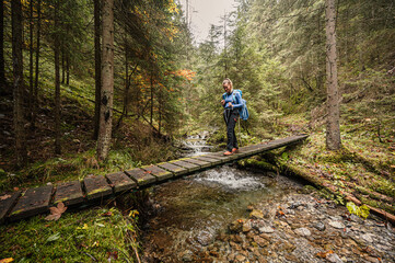Mountain landscape. Misty forest. Natural outdoor travel background. Slovakia, Low Tatras, Demenovska hora and dolina vyvierania. Liptov travel. © Zedspider