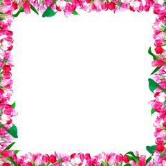 Fototapeta na wymiar Vector floral frame with green leaves and delicate spring pink flowers isolated on white background. Design elements in triangular low poly style.