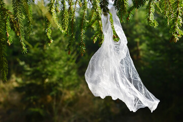 Plastic bag hanging on branch of spruce tree. Pollution garbage in forest. Concept of nature...
