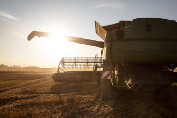 Fototapeta premium Combine with extended unloader pipe during sunset 