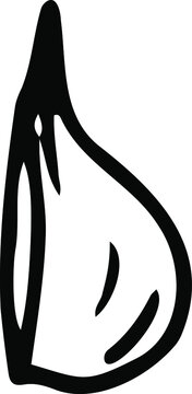 recommend clip art: A slice of garlic drawn by hand. Black and white vector illustration. 
