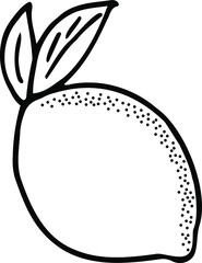 Lemon with a leaf. Hand-drawn black and white vector illustration. Vegetarian food. A healthy citrus fruit.
