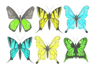 Fototapeta na wymiar Set of 6 colorful butterflies clipart. Collection of watercolor butterflies isolated on a white background. Hand-drawn exotic insect for your design. Colorful logo or tattoo design.