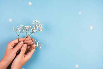 Delicate flowers of gypsophila in female hands on a blue background