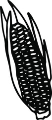 Corn cob isolated on white background. Hand-drawn black and white vector illustration. Healthy and healthy food.