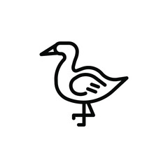 Obraz premium goose animal vector line icon