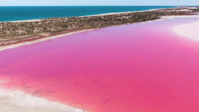 Aerial, Footage of Bright Pink Saltwater Lake. Western Australia Tourism, Travel