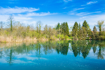 Obraz premium Banks of Mreznica river in Croatia, trees reflection on water, tourist destination