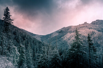 Moody sky over the hills of Western Tatras, Poland. Dramatic aura in the mountains. Coniferous forest covered with snow. Selective focus on the ridge, blurred background.