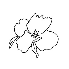 One simple vector flower with a black line.Botanical hand drawn illustration on isolated background.Vintage doodle style picture.Design for packaging, poster,social media,invitation,greeting card.