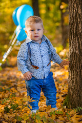 little boy in the autumn forest
