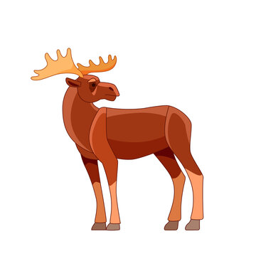 Moose or Elk, Alces alces. Beautiful animal in the nature habitat. Wildlife scene. Cartoon character vector flat illustration isolated on a white background