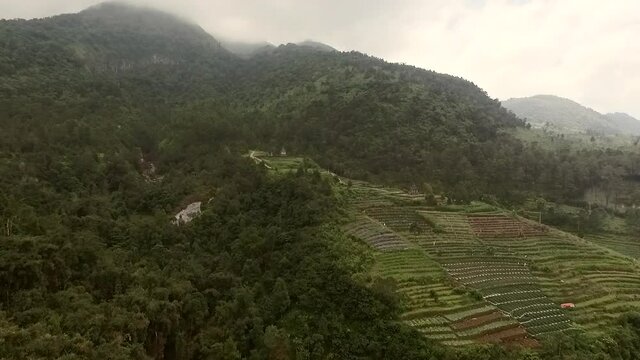 Aerial footage landscape view farm field in mountain with green rain forest