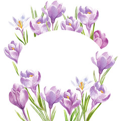 watercolor frame. Hand-drawn spring flowers, purple and yellow primroses - crocuses.