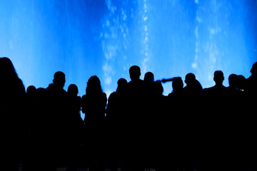 Fototapeta premium Silhouettes of people at the blue fountain at night.