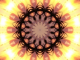 Kaleidoscope in Bright Yellow and Black