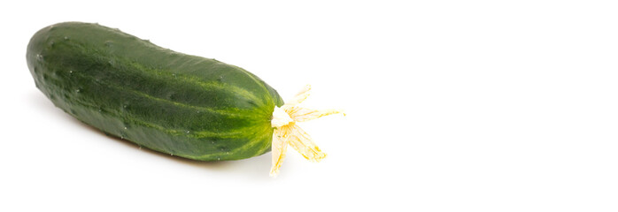 Fresh green cucumber isolated on white background.