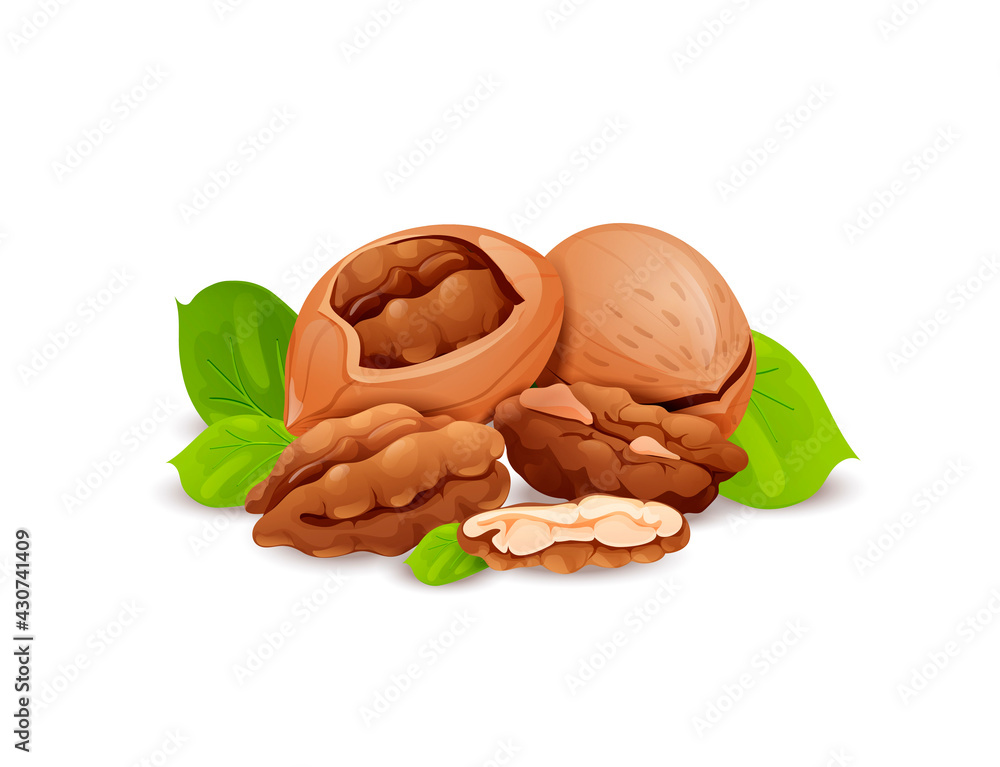 Wall mural Pecan nut composition, good for label and sticker - Wall murals