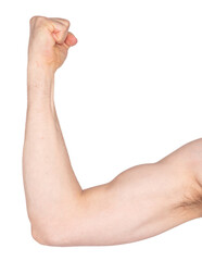 Male arm shows biceps