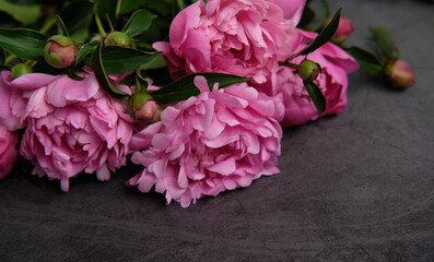 A bouquet of pink peonies In line on a dark wooden background