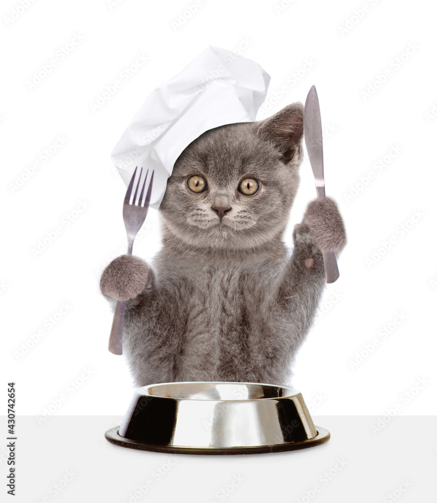 Poster kitten wearing chef's hat eats with knife and fork. isolated on white background