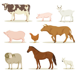 Fototapeta premium Cartoon domestic animals vector illustrations set. Collection of farm animals, hen, horse, sheep, goat, pig, cow, bull isolated on white background. Domestic animals, pets, farming, concept