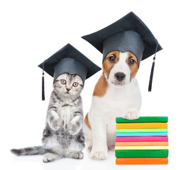 Jack russell terrier puppy and kitten wearing graduation cap sit together with books. isolated on...