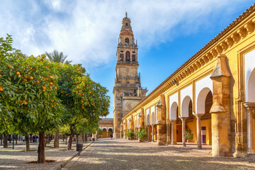 Cordoba, Spain. View of Torre Campanario - historical bell tower and courtyard planted with orange trees - obrazy, fototapety, plakaty