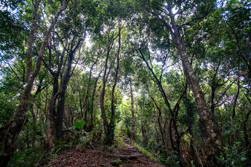 Seychelles Morne Blanc