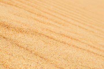 Background of the sand texture