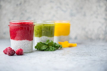 Vegetarian chia pudding with coconut milk and berry puree in jars ( raspberry, strawberry, kiwi, banana, mango), healthy clean food, clean food