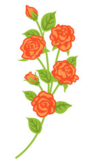 Apricot color rose decoration - curve line