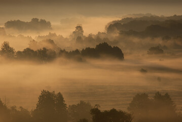 Morning fog over the river floodplain