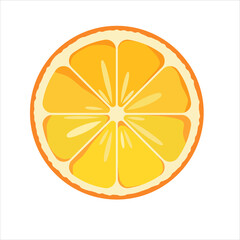 vector illustration of a juicy orange slice