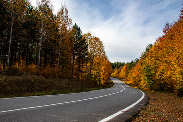 Fototapeta premium A beautiful road view through the forest in autumn.