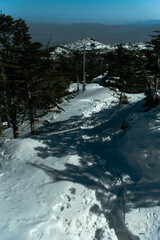 北八ヶ岳の雪景色