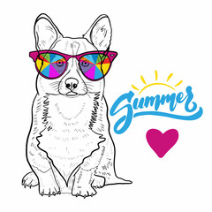 dog corgi breed drawn with a black line with multi-colored accessories glasses and text
