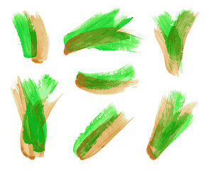 Set Watercolor Brush Stroke Isolated