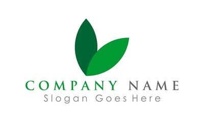 company green leaf