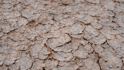 Brown dry soil background At a top view. selective focus